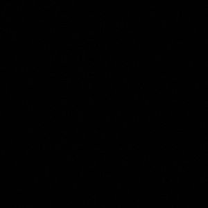 Meet your Posher, Aniya